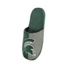 Michigan State Spartans NCAA Mens Logo Staycation Slippers