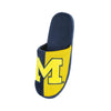 Michigan Wolverines NCAA Mens Logo Staycation Slippers