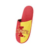 Iowa State Cyclones NCAA Mens Team Logo Staycation Slippers