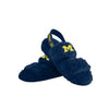 Michigan Wolverines NCAA Womens Heel Strap Wordmark Fur Slide