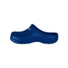 Florida Gators NCAA Mens Solid Clog