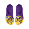 Minnesota Vikings NFL Mens Colorblock Big Logo Clog