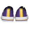 Minnesta Vikings NFL Mens Low Top Big Logo Canvas Shoes