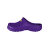 Minnesota Vikings NFL Mens Solid Clog