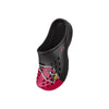 Arizona Cardinals NFL Youth Colorblock Big Logo Clog