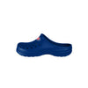 Chicago Cubs MLB Womens Solid Clog