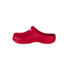 Philadelphia Phillies MLB Womens Solid Clog