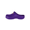 Minnesota Vikings NFL Womens Solid Clog