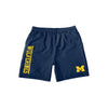 Michigan Wolverines NCAA Mens Solid Wordmark Traditional Swimming Trunks