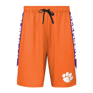 Clemson Tigers NCAA Mens Side Stripe Training Shorts