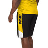 Iowa Hawkeyes NCAA Mens Side Stripe Training Shorts