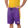 LSU Tigers NCAA Mens Side Stripe Training Shorts