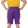 LSU Tigers NCAA Mens Side Stripe Training Shorts