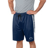 Penn State Nittany Lions NCAA Mens Side Stripe Training Shorts