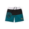 Jacksonville Jaguars NFL Mens 3 Stripe Big Logo Swimming Trunks