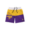 Minnesota Vikings NFL Mens 3 Stripe Big Logo Swimming Trunks