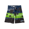 Seattle Seahawks NFL Mens Sunset Boardshorts