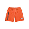 Denver Broncos NFL Mens Solid Wordmark Traditional Swimming Trunks