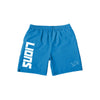 Detroit Lions NFL Mens Solid Wordmark Traditional Swimming Trunks