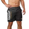 Jacksonville Jaguars NFL Mens Solid Wordmark Traditional Swimming Trunks