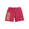 San Francisco 49ers NFL Mens Solid Wordmark Traditional Swimming Trunks