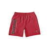 Tampa Bay Buccaneers NFL Mens Solid Wordmark Traditional Swimming Trunks