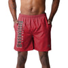 Tampa Bay Buccaneers NFL Mens Solid Wordmark Traditional Swimming Trunks