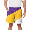 Minnesota Vikings NFL Mens Colorblock Double Down Liner Training Shorts