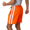 Cleveland Browns NFL Mens Side Stripe Fleece Shorts