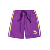 Minnesota Vikings NFL Mens Side Stripe Fleece Shorts