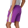 Minnesota Vikings NFL Mens Side Stripe Fleece Shorts