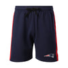 New England Patriots NFL Mens Side Stripe Fleece Shorts