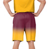 Washington Commanders NFL Mens Game Ready Gradient Training Shorts