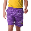 Minnesota Vikings NFL Mens Tonal Camo Woven Shorts