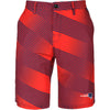 New England Patriots NFL 2017 Mens Diagonal Stripe Walking Shorts