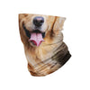 Golden Retriever Gaiter Scarf