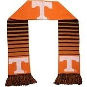 Tennessee 2014 Big Logo Scarf