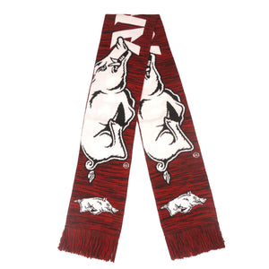 Arkansas Razorbacks NCAA Wordmark Big Logo Colorblend Scarf