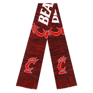 Cincinnati Bearcats NCAA Wordmark Big Logo Colorblend Scarf