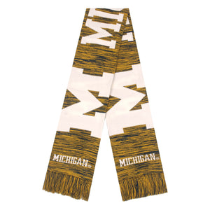 Michigan Wolverines NCAA Wordmark Big Logo Colorblend Scarf