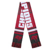 Tampa Bay Buccaneers NFL Super Bowl LV Champions Acrylic Scarf