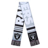 NFL Team Scarves - Pick Your Team & Style!