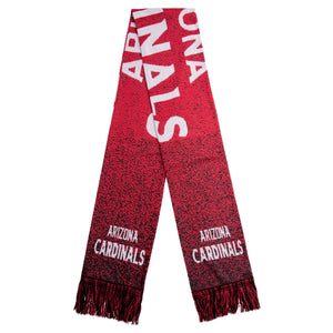 Arizona Cardinals NFL Matrix Scarf