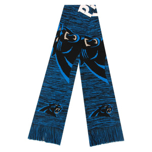 Carolina Panthers NFL Wordmark Colorblend Scarf