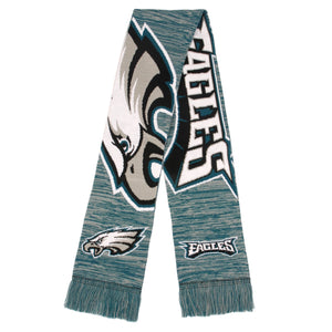 Philadelphia Eagles NFL Wordmark Colorblend Scarf