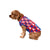 Kansas Jayhawks NCAA Busy Block Dog Sweater