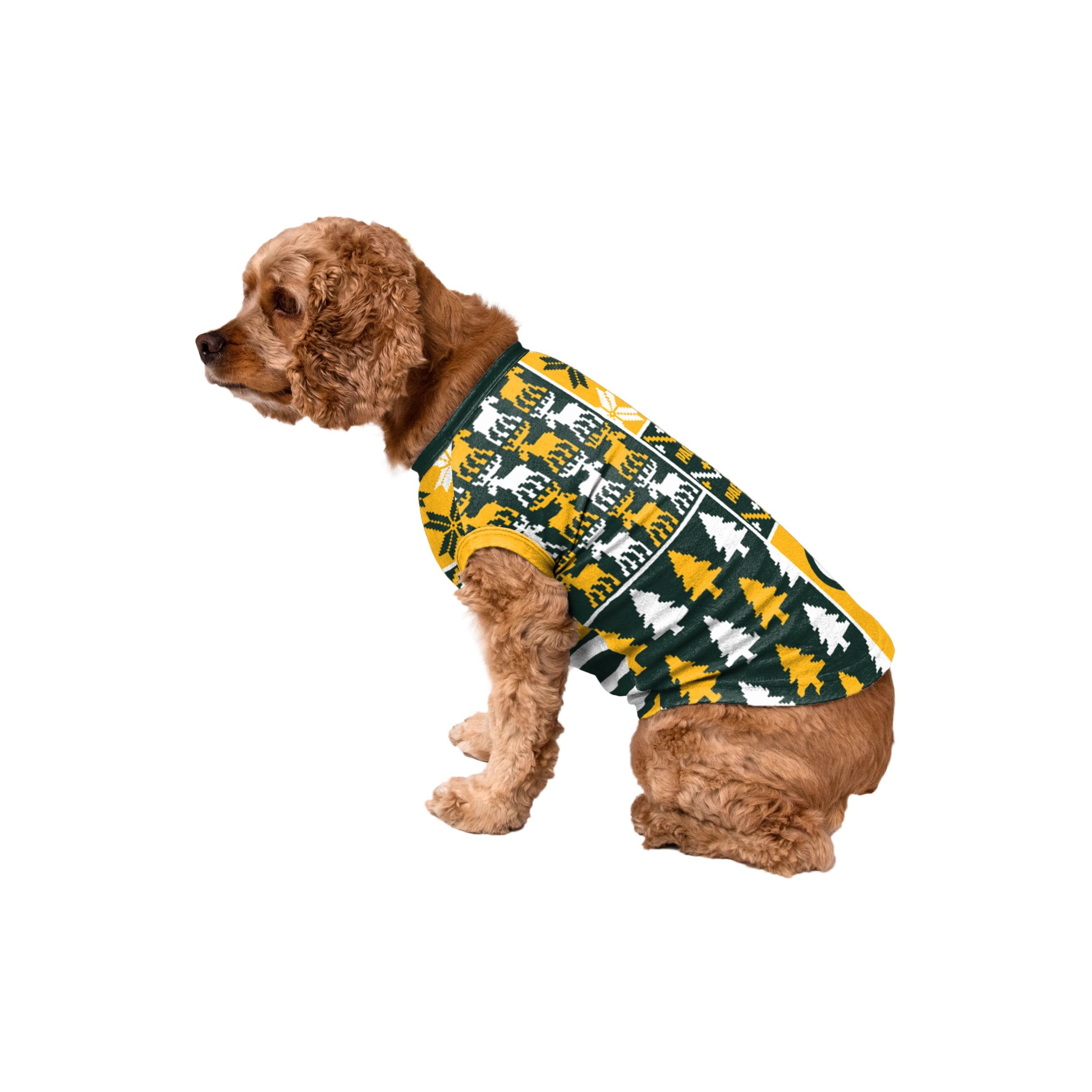 green bay packers gear for dogs