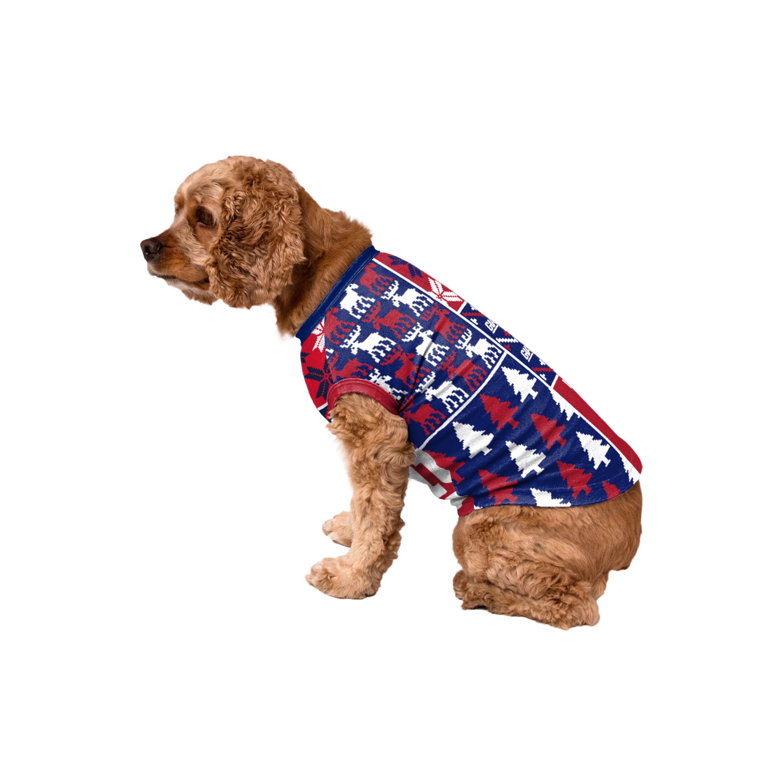 New York Giants Dog Family Holiday Ugly Sweater, Size: M