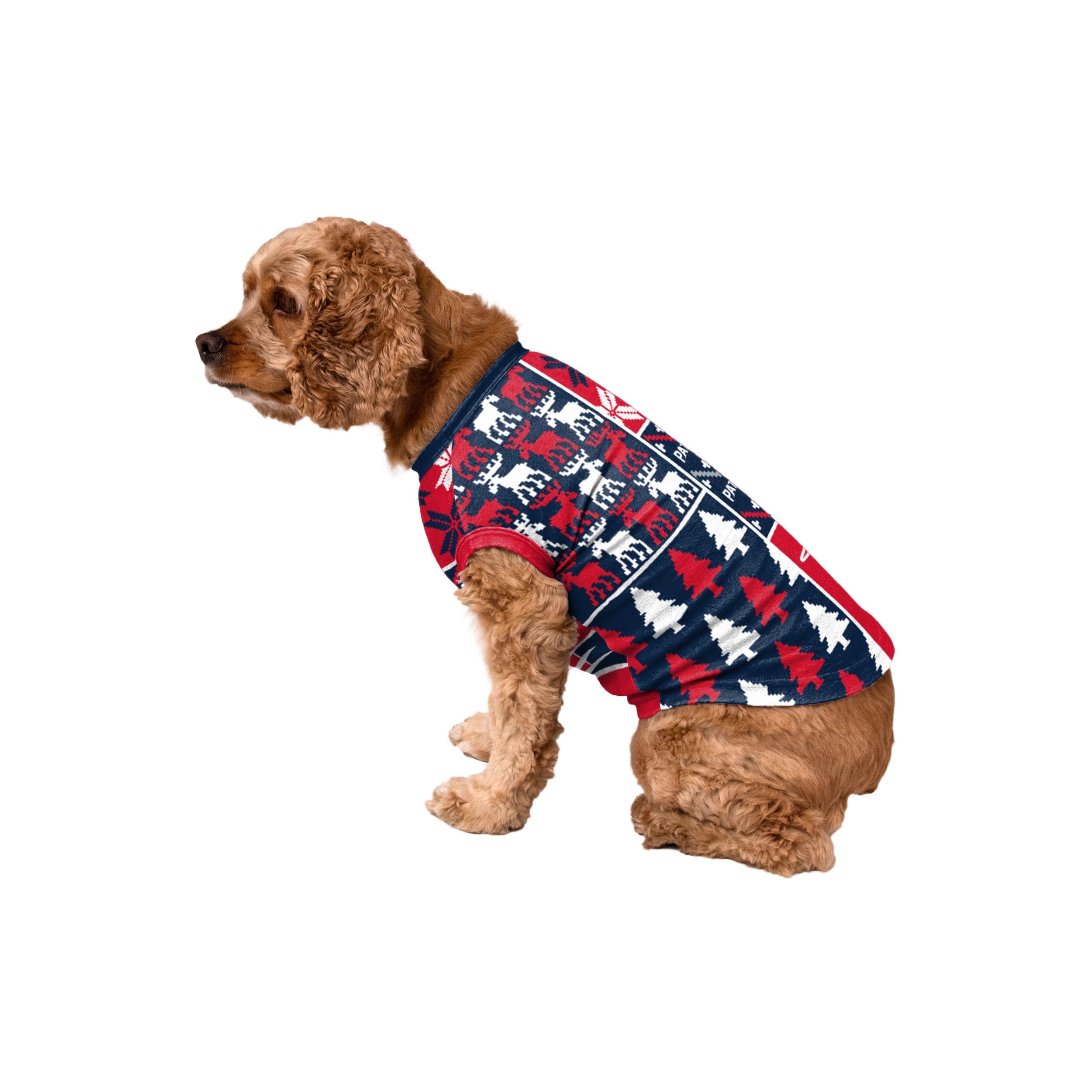 New England Patriots Dog Apparel and Accessories