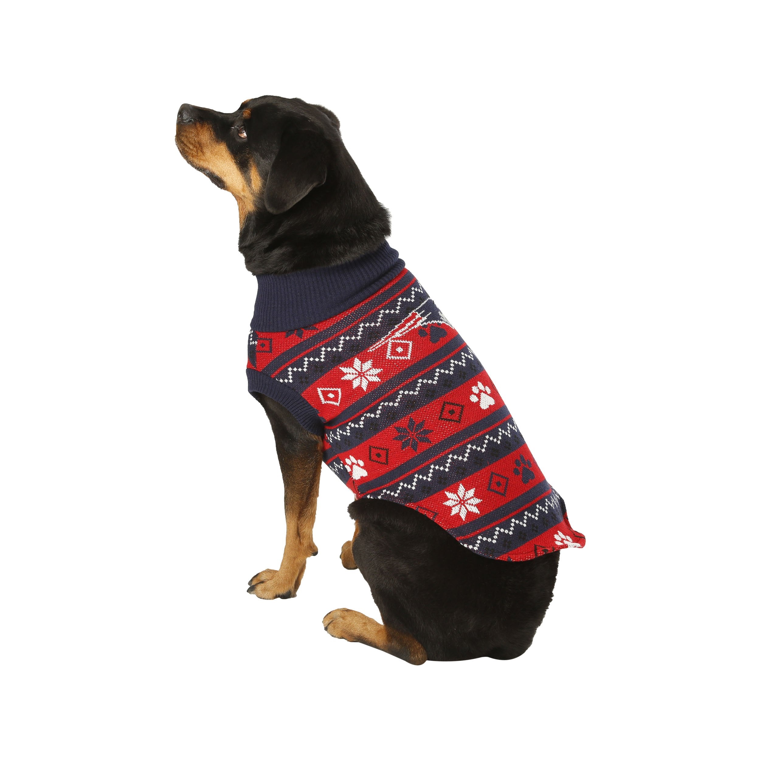 new england patriots dog sweater